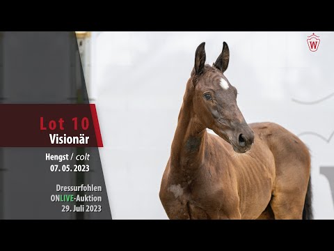 ONLIVE-AUKTION Lot 10 Visionär Hengst v. Vision - Boston
