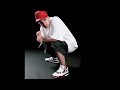 Termanology - 22 Years (Produced By 9th Wonder) (2004)