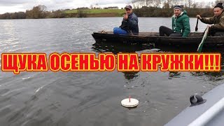 Ловля щуки-осенью на кружки