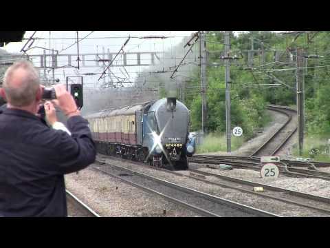 LNER Class A4 4464 Bittern 'THE EBOR STREAK'