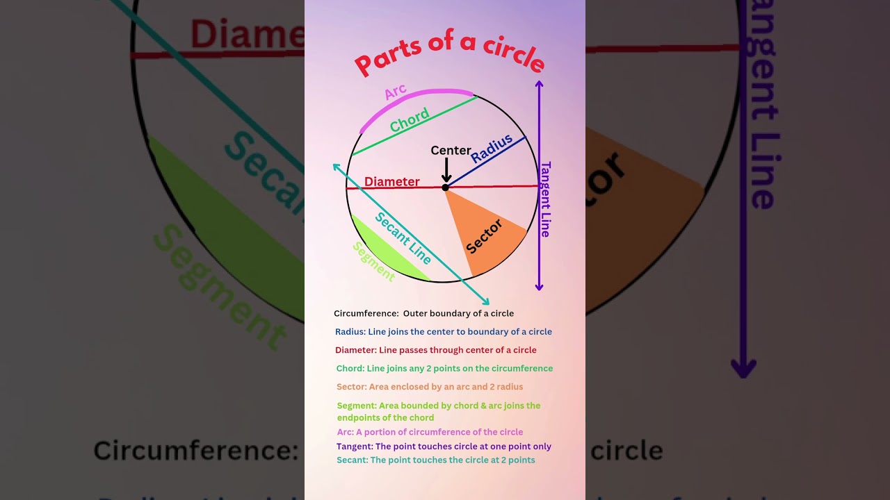 Parts of a circle | Know Basics of circle fast #shorts #youtubeshorts #shortsfeed #ytshorts