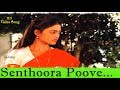 Senthoora Poove Ingu Thean Sindha Vaa Ramki செந்தூர பூவே