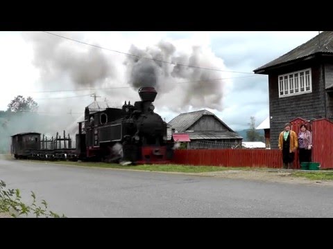 Steam in Romania 2015 - Moldovita