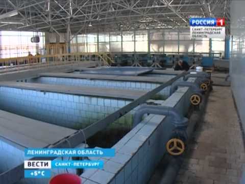 Модернизацию рыбоводческих хозяйств Ленинградской области обсуждали на совещании в Ропше