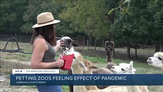 Petting zoos feeling effect of pandemic