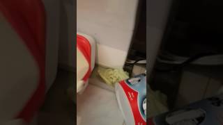WATERLİFE Su arıtma cihazı