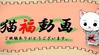猫福 のライブ ストリーム