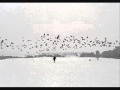 David Byrne - ur