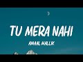 Amaal Mallik Tu Mera Nahi Lyrics