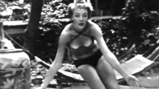 Howling at the Moon (Official Audio)