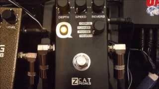 Video thumbnail for zcat pedals Qmod Review by All Things Weatherly