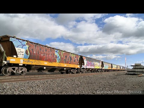 7732V Pacific National Grain Train With VHAF Hoppers (5/7/2023) - PoathTV Australian Railways