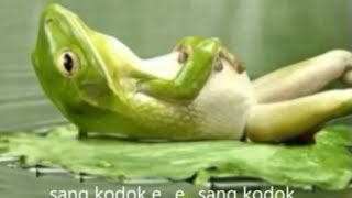 Download lagu Sang Kodok - Lagu Anak - Anak Terpopuler mp3