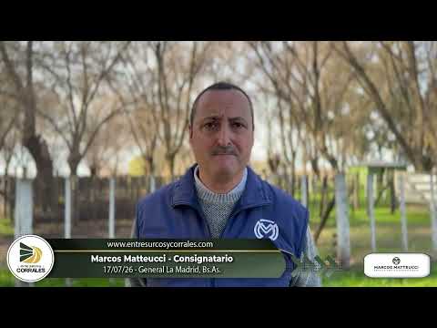 17-07-26 - Marcos Matteucci - Consignatario - General La Madrid, Bs.As.