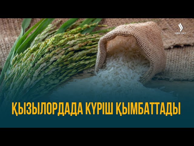 ЖАҢАЛЫҚТАР. 04.10.2023 күнгі шығарылым