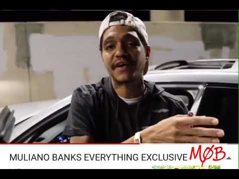 Everything Exclusive