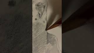 羽を広げるインコの素描を15分で描いた #絵 #イラスト #お絵描き