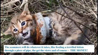 Fake Animal Rescues Exposed  Part 2.2 Spotting The Fakes