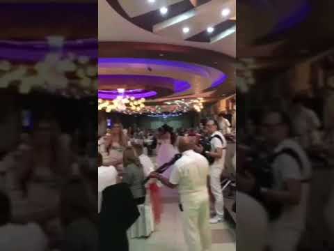 Sasa Cvijanovic -Scharmeru band