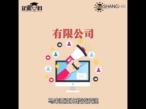 有限公司意思
