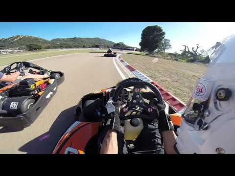 PROKART FIGARI SESSION 11.165 REVERSE