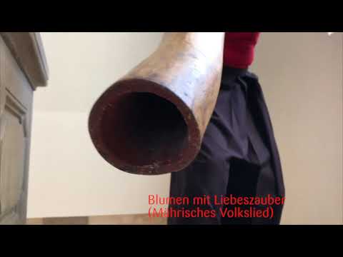 AUREA | Klangspektrum BW | Alena Leja - Gesang, Shruti Box,  Ilja Sibbor - Didgeridoo