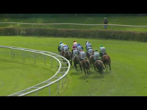 Dielsdorf/24.09.2023/Preis des Rennverein's Zurich - 2. Abteilung