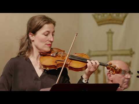 Davide Verotta - Deep Blue, Vermillion and Ivy Gold