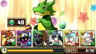 [에그 드래곤 피버 가즈아!] 고정팀 세 번 돌아보기