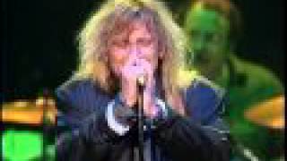 Cheap Trick - Hot Love - live Daytona 1988