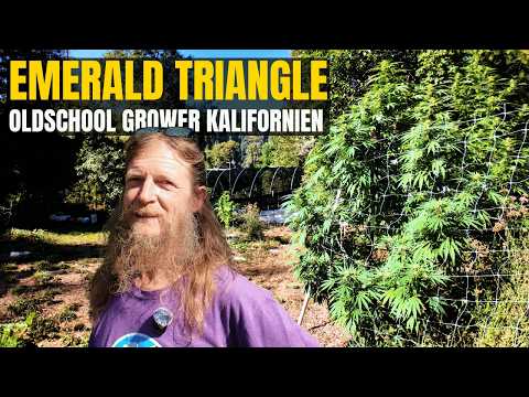 Emerald Triangle Old School: Cannabis Farmer Generationen