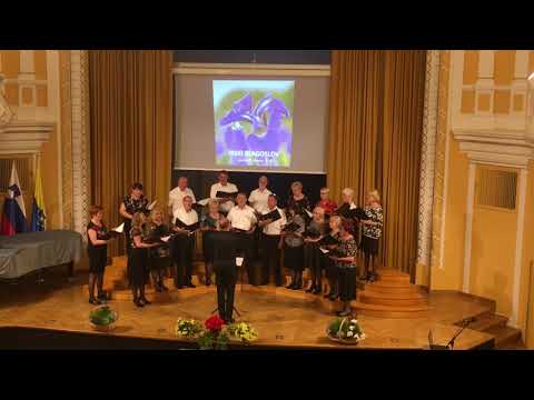 Mešani pevski zbor Cetis - Irski blagoslov