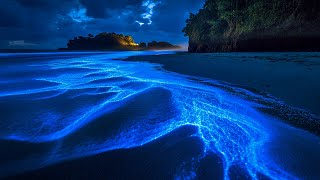 Fall Asleep in 3 Minutes with Ocean Sounds | Release Stress and Negativity for Deep Relaxation