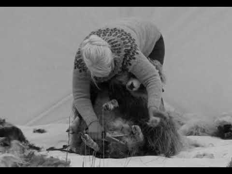 RANRA Kalt Directed By Roberto Colombo