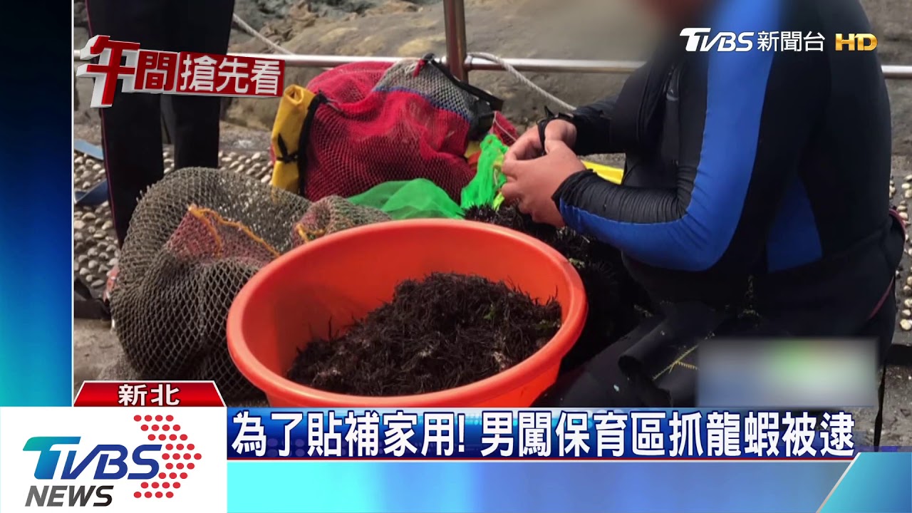 為了貼補家用! 男闖保育區抓龍蝦被逮