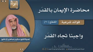 صورة واجبنا تجاه القدَر | فضيلة الشيخ صالح آل الشيخ