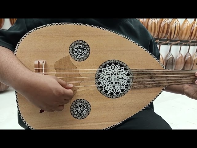 عود كهربائي احترافي سوبر لوكس