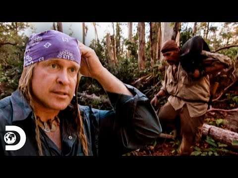 Dave Hunts a Giant Wild Boar | Challenge x 2 | Discovery Latin America
