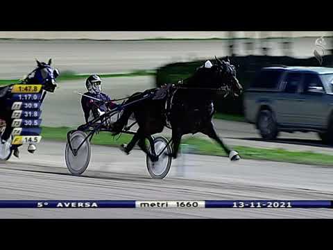 Aversa trotto 13 Novembre 2021 - 4° Corsa