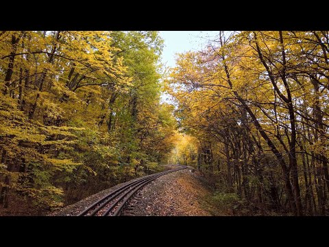 Budapest 4K Walk Autumn through the woods of Hűvösvölgy