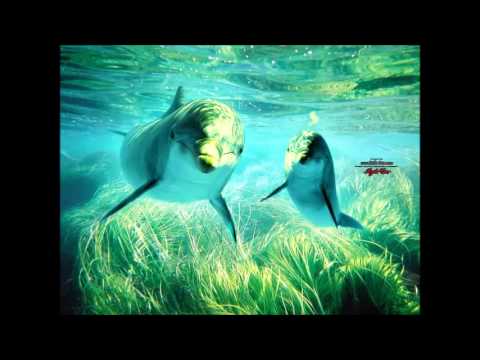 Vibraddict - Acid Droper (Psyfullohms Remix)