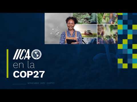 2022-11-17 02.29.59 COP27