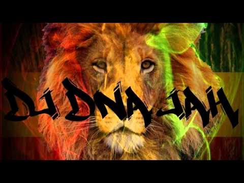 DJ DNA Jah - No Music No Life Mixtape - (Hosted By Crown Head) - @DeejayDNAJah