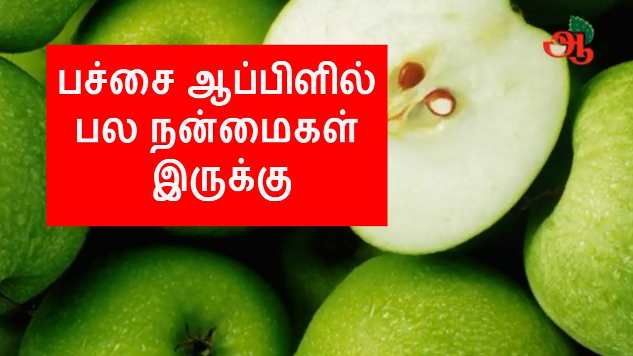 ஆப்பிள் பழத்தின் நன்மைகள் / Green Apple Benefits in Tamil