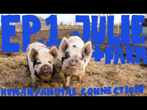 Ep. 1 - Julie & farm, exploring the human/animal connection (documentary)