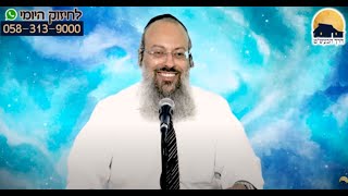 פרשת נח | להיות אדם יותר מדי נח | להסתדר עם מה שיש ᴴᴰ