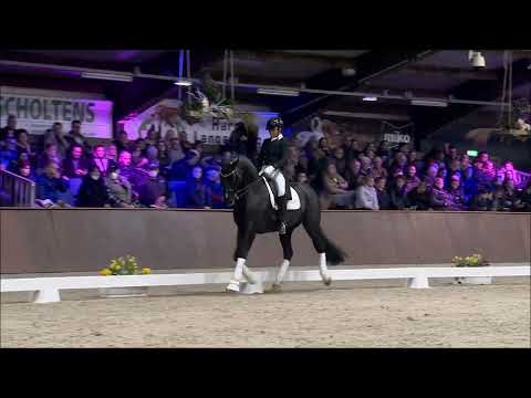 Dancier Gold FRH 2022 HD