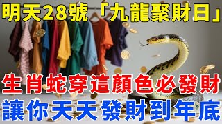 不是迷信！生肖蛇，明天10月28號，農曆九月初八是「九龍聚財日」，你穿這顏色衣服必發財！讓你天天發財到年底！【梵心若素】#生肖 #運勢 #風水 #財運 #命理