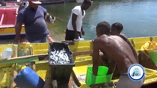 LUCIAN BLUE OCEAN CLARIFIES ISSUES