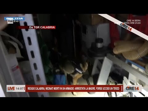 Reggio Calabria, neonati morti nell'armadio: arrestata la madre - Ore 14 del 09/10/2025
